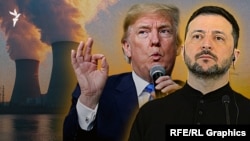 Donald Tramp və Volodimir Zelenski