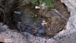 Балыкчы: мунайдан чыккан коркунуч