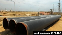 Иллюстративное фото  