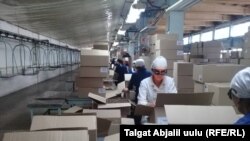 Майлуу-Суудагы лампа заводу.