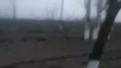 Қашқадарёдаги сохта "теплица"нинг бугунги ҳолати