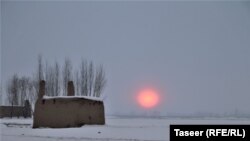 آرشیف - بارش برف در ولایت غزنی