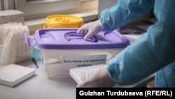 Иллюстрациялык сүрөт.