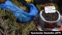 Базарда сатылып жаткан уу коргошундун тамыры. Иллюстрациялык сүрөт.