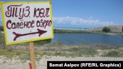 Тоңдогу Туздуу көл. Ысык-Көл (архивдик сүрөт)