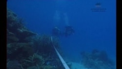 Проблемы Большого Барьерного рифа