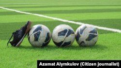 Иллюстрациялык сүрөт. 