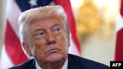 АКШ президенти Дональд Трамп. 