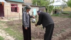 13 лет в трудовой миграции