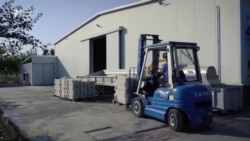 Дар Тоҷикистон ангурро ба қанд мубаддал мекунанд