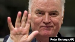 Босниялык сербдердин мурдагы аскердик кол башчысы Ратко Младич.