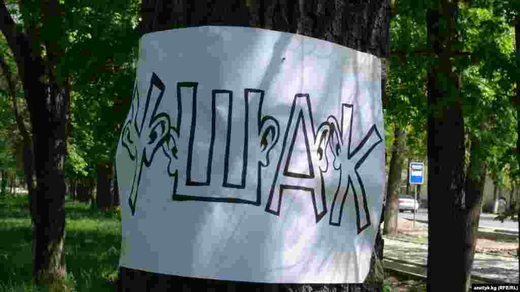 Уюштуруучулар алгач аллеядагы бактарга өрдөктүн, кумалактын сүрөттөрүн илип чыгышты. Сценарий боюнча аллеяны журналистика мейкиндиги деп, андагы сүрөттөр журналистикадагы терс көрүнүштөр катары каралган.&nbsp;