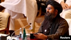 عبدالغنی برادر معاون اول رئیس الوزرای حکومت طالبان