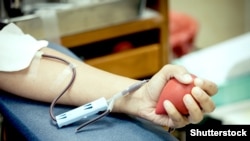 Иллюстрациялык сүрөт.