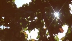 Х.Мирсаидов: Если каждый будет закрывать глаза на проблемы, кто будет строить Таджикистан?