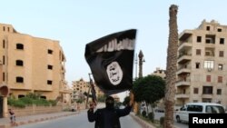 آرشیف، یک جنگجوی داعش با بیرق این گروه