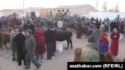 Рынок домашнего скота, Туркменистан