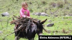 Жайлоодогу кыз