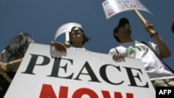 Пушки умолкли. Заговорит ли дипломатия?