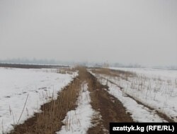 Чек арадагы көмүскө жол.