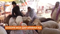 Чаро дар арафаи Иди қурбон бозори моли Карочӣ гарм нашуд?