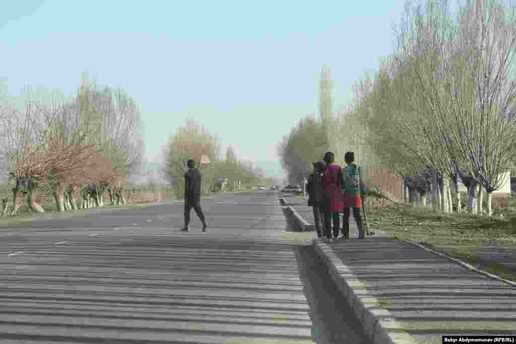 Жазында жекшемби талаада иштөөчү күнгө айланат. Ноокен району.&nbsp;