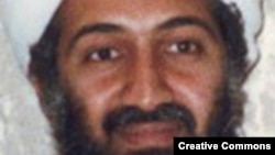 اگر شبکه القاعده یکبار دیگر در افغانستان به طور آزادانه فعالیت کند، نه تنها امنیت افغانستان، بلکه امنیت در خارج از این کشور نیز به خطر بزرگ مواجه می‌شود.