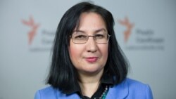 Gülnara Bekirova, Qırım tarihçısı