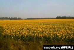 Тыповы данбаскі пэйзаж