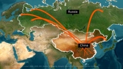 Why Russia Finally Granted Visa-Free Travel to Chinese Citizens

