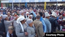 Жанар Акаев шайлоо өнөктүгү учурунда, 2015-жыл