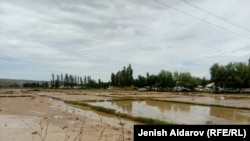 Иллюстрациялык сүрөт.