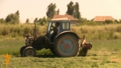 Salyanda "yol hadisəsi"