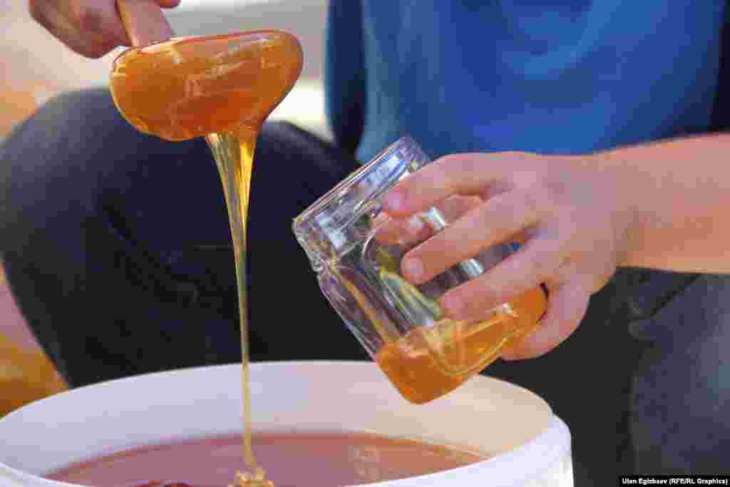 Жармаңкеге Кыргызстандын булуң-бурчунан келген 25 балчы катышып жатат.&nbsp; 