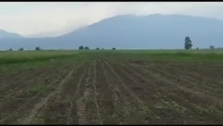 Müdafiə Nazirliyi: Ermənilərin atdığı və partlamayan fosforlu mərmi məhv edilib