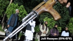 Иллюстрациялык сүрөт. 