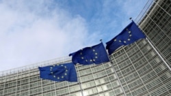 ԵՄ ԱԳ նախարարները հեռավար հանդիպում են անցկացրել՝ քննարկելու Թրամփ-Պուտին սպասվող բանակցությունները