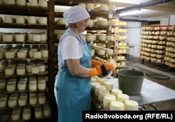 Тетяна за роботою