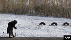 Иллюстративное фото.