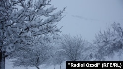 Акс аз бойгонӣ