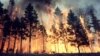Лесной пожар в Томской области