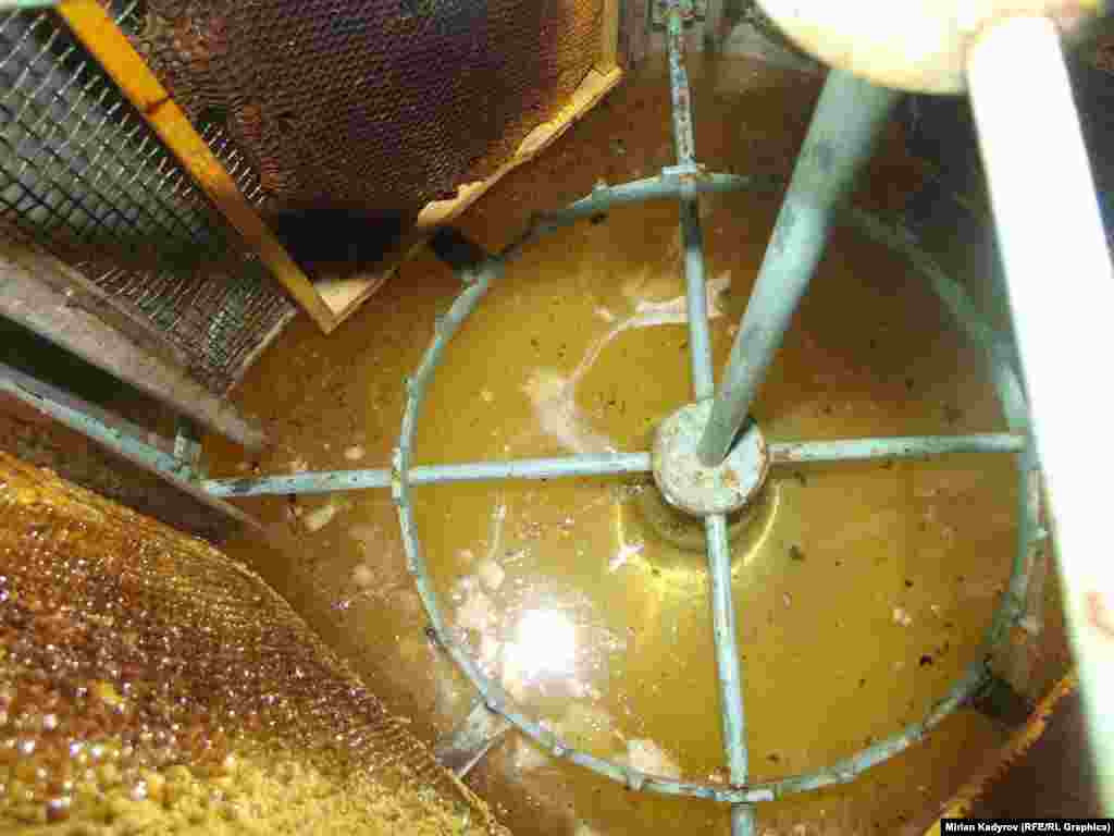 Бир бал челектен бир сезондо болжол менен 60-70 килого чейин бал тартылып алынат. Эгер аарылары күчтүү болсо, 150 килого чейин бал алынышы ыктымал.