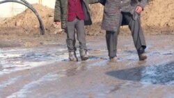 Төрт нөөмөттө билим алгандар