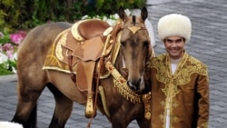 Kataryň şeýhy Türkmenistana at çapyşygyna baýrak üçin 500 müň dollar berýär