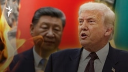 Трамп пен Путин келер аптада «кездесуі мүмкін». Соғыс жаңалықтары