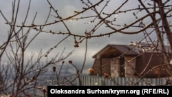 Elina Mamedovanıñ azbarından manzara