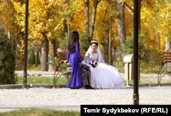 Иллюстрациялык сүрөт.