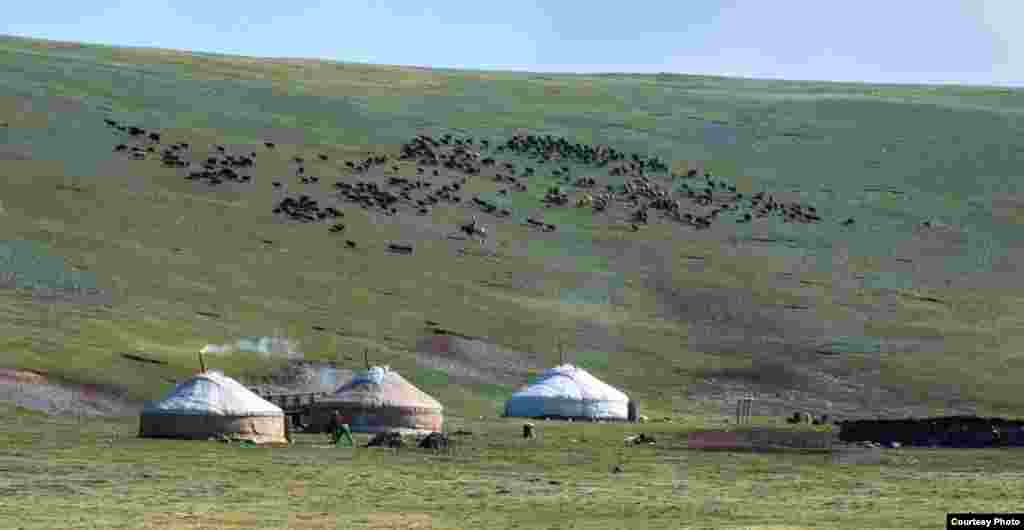 Юрты на летнем пастбище.