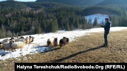 Дмитро Шмадюк на плонині в Кривопіллі