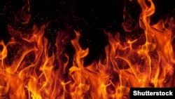 Иллюстрациялык сүрөт.